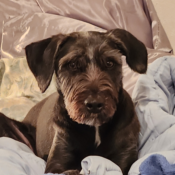 Meet your Posher, Teresa - Picture 4 of 5